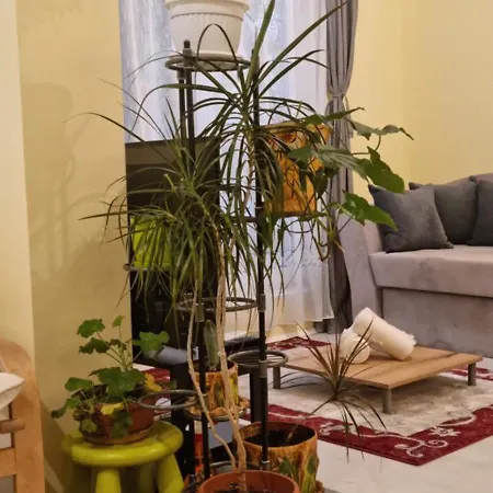 Peaceful In The Center, Close To Subway, Medical * Sofia